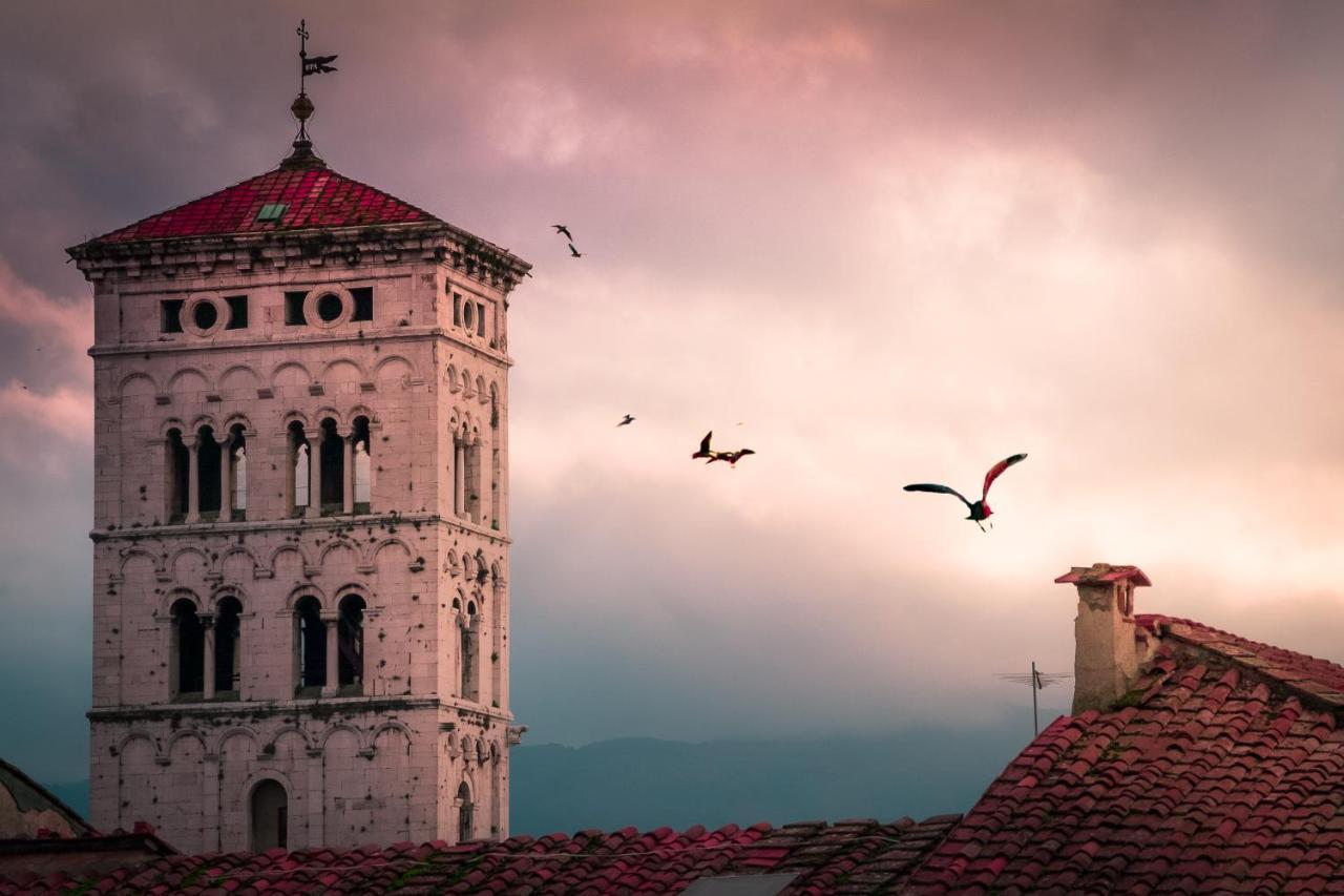 Villa De Maestri - With Elevator Since September 2025 Λούκα Εξωτερικό φωτογραφία