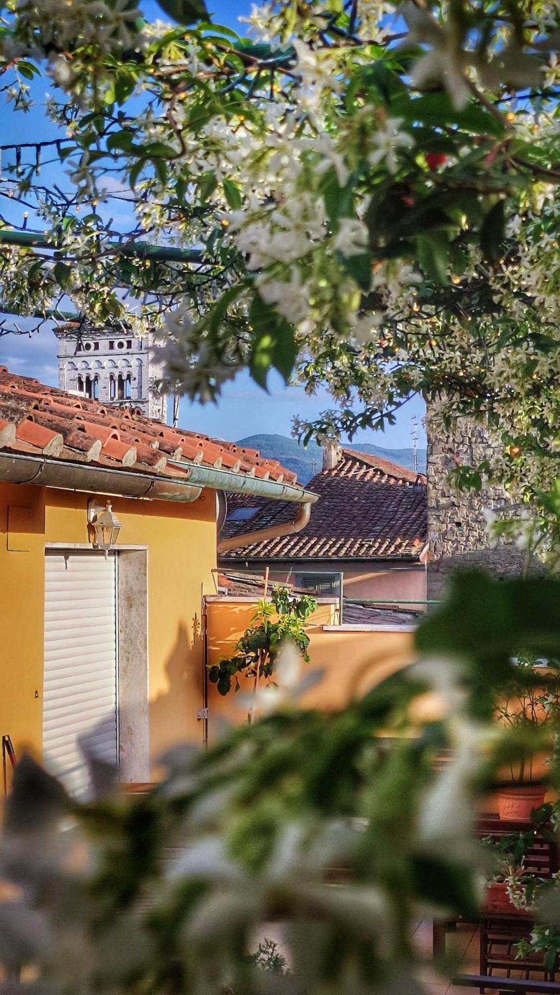 Villa De Maestri - With Elevator Since September 2025 Λούκα Εξωτερικό φωτογραφία